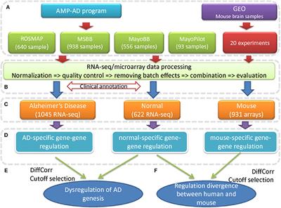 Transcriptional Dysregulation Study Reveals a Core Network Involving the Progression of Alzheimer's Disease